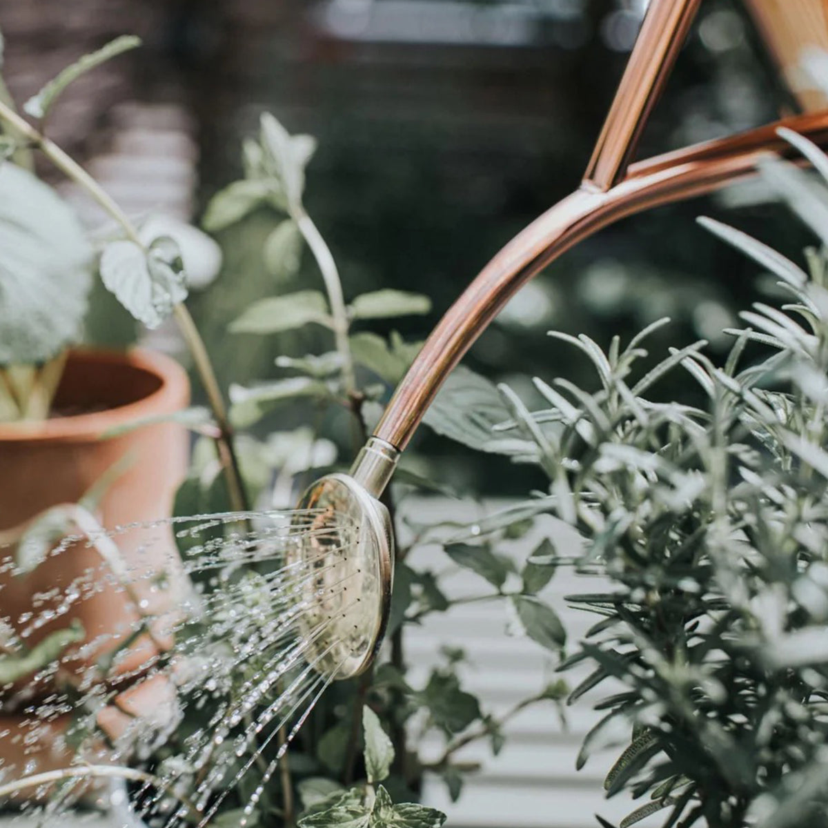 The Rowley Ripple Copper - 2 Pint Metal Watering Can