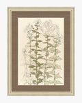 Timeless Sprigs