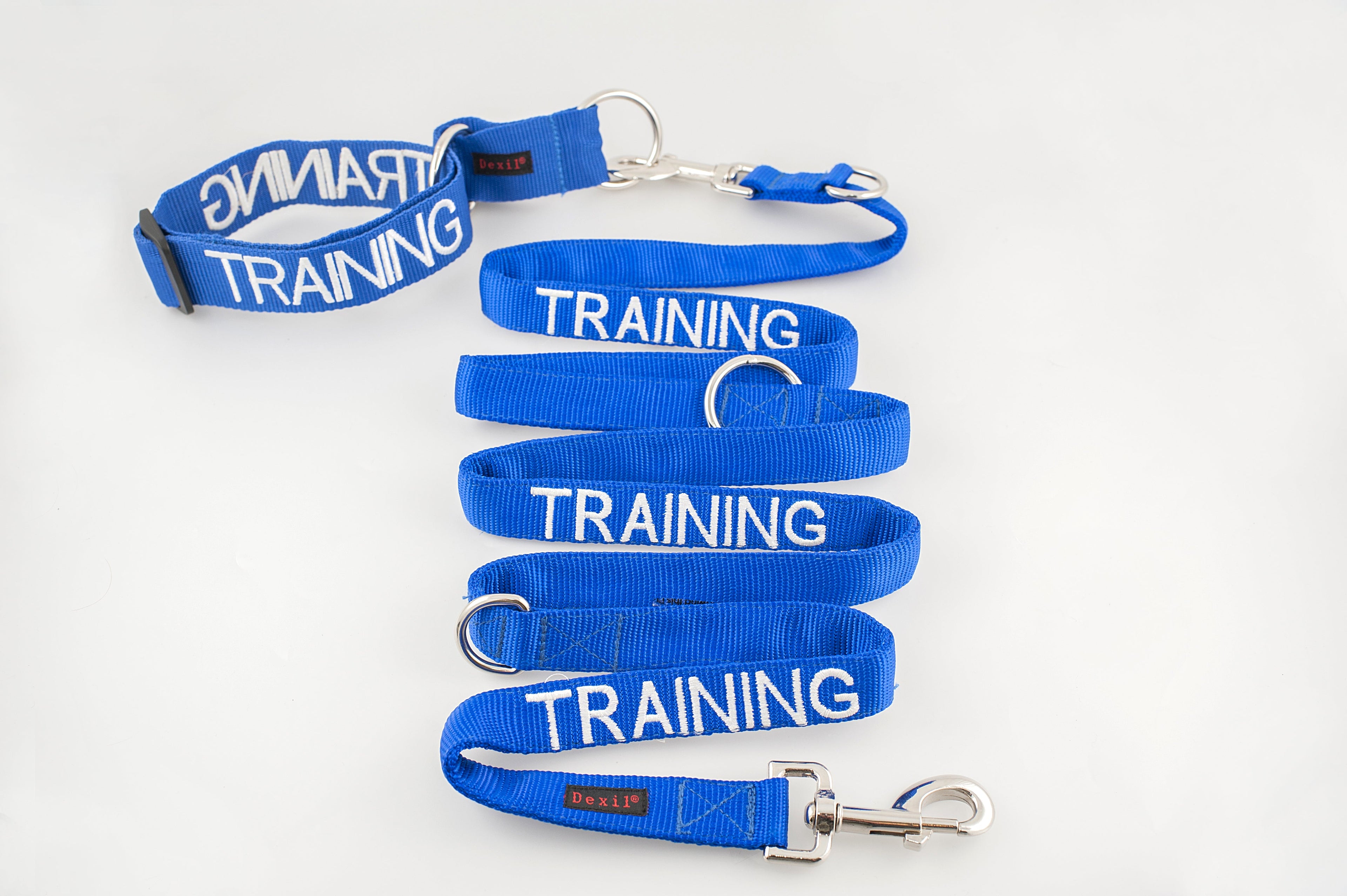 Training Dog Lead and Collar