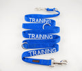Training Dog Lead and Buckle Collar
