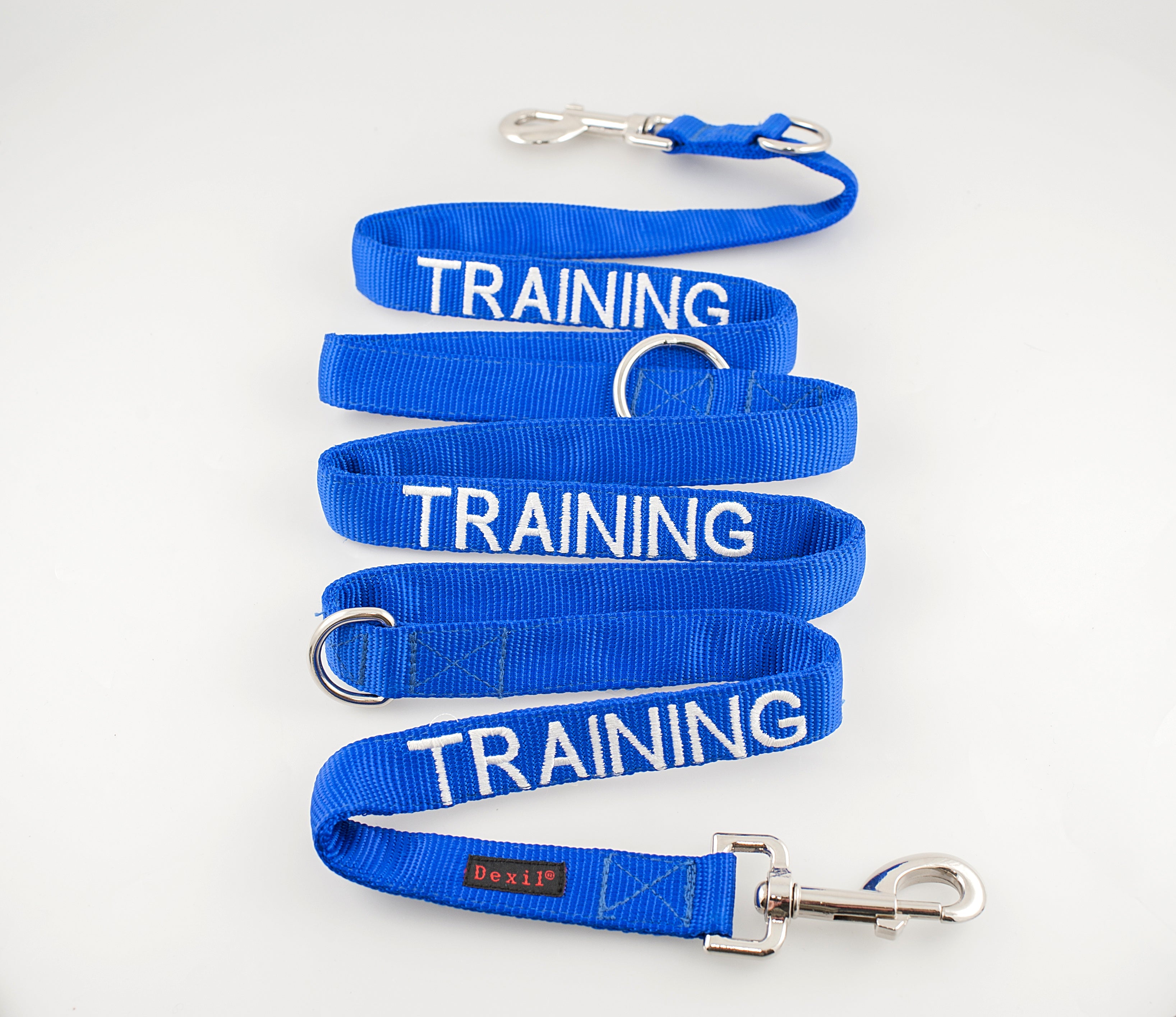 Training Dog Lead and Buckle Collar