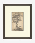 Tree on a Hilltop
