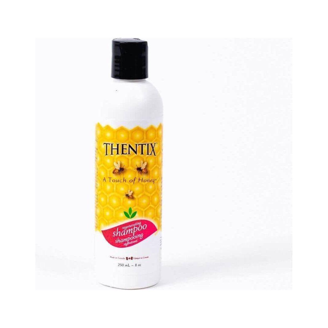 Thentix Hair Shampoo Natural Coconut Shampoo for Oily and Dry Hair