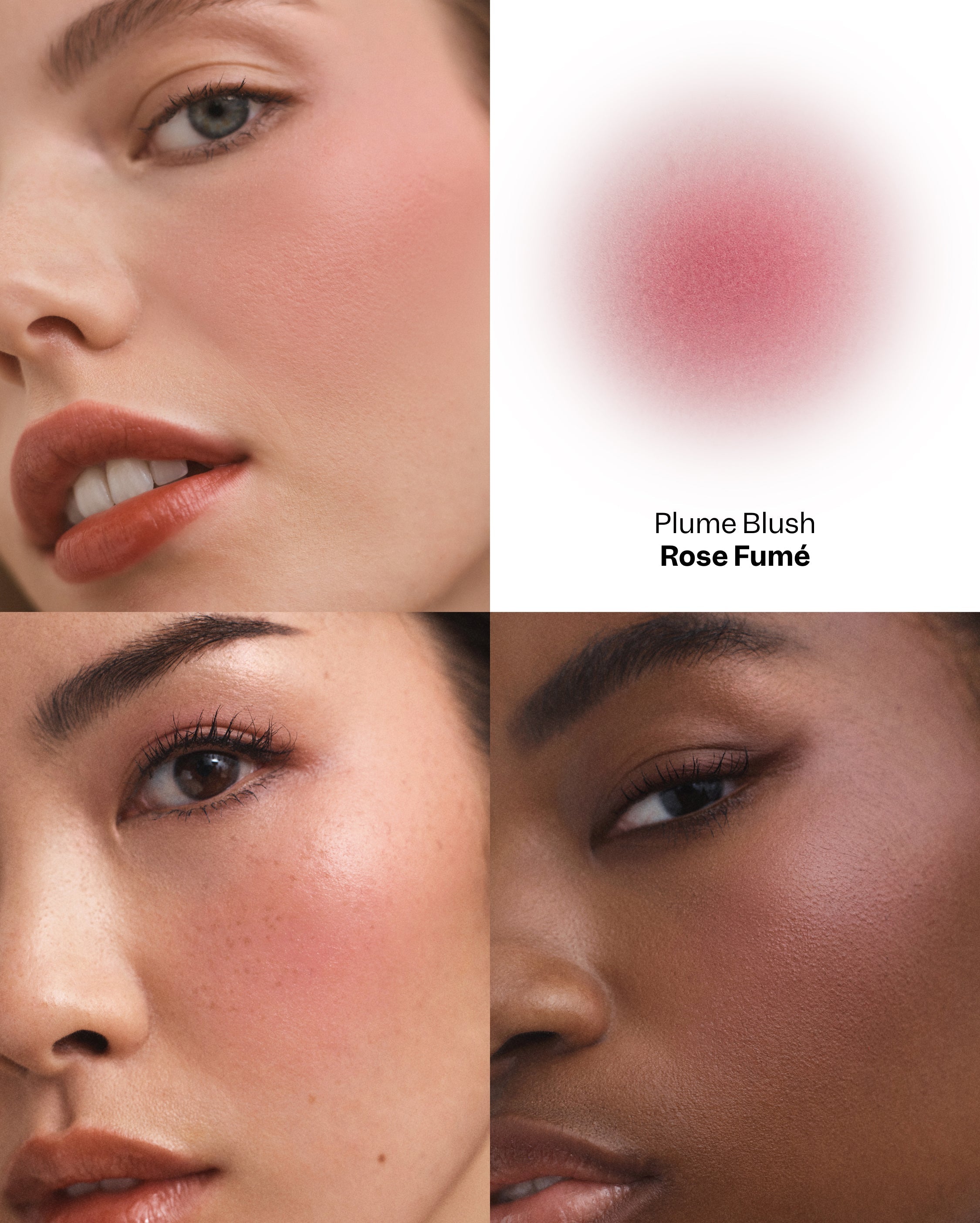 Plume Blush - Rose Fumé