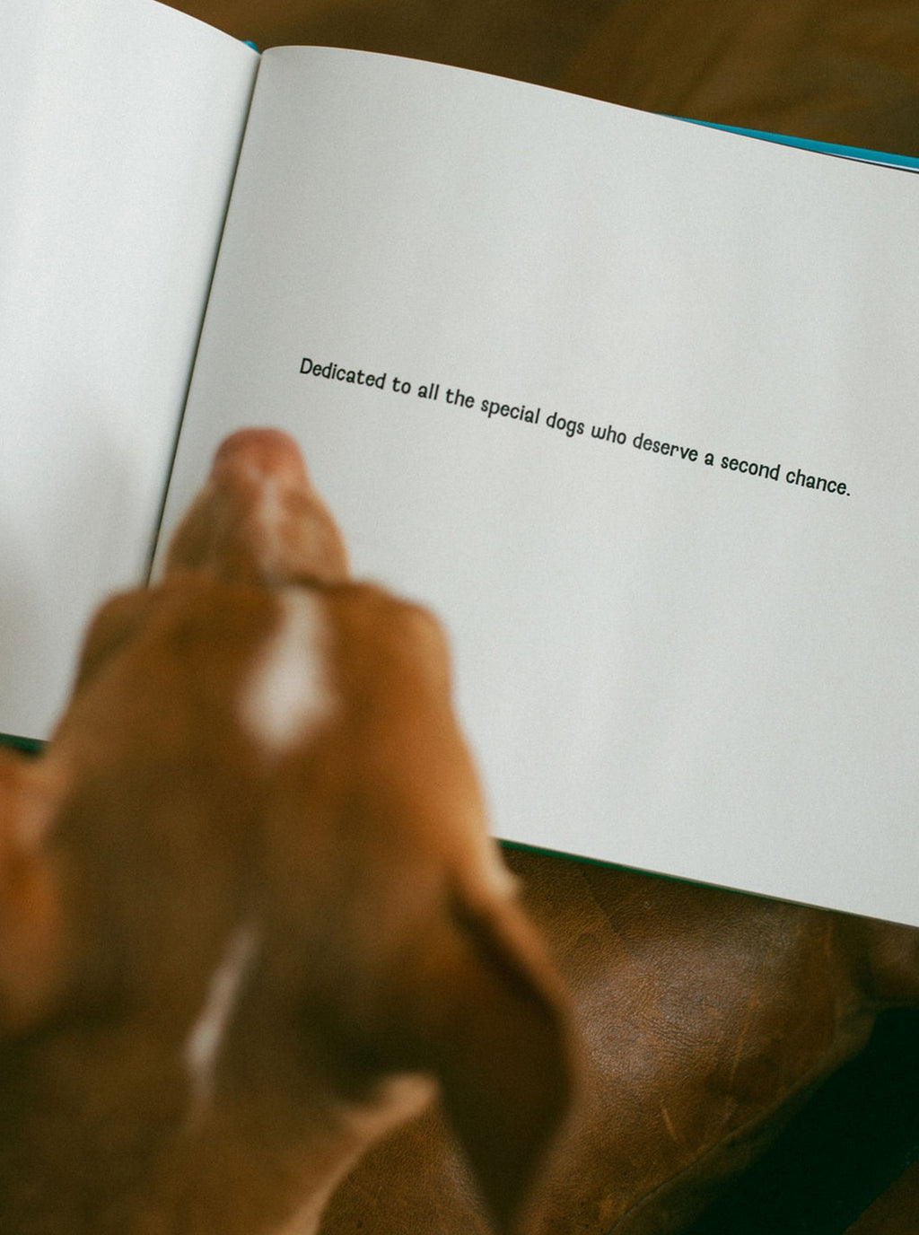 JOEY'S TWO-LEGGED LIFE Children's Book