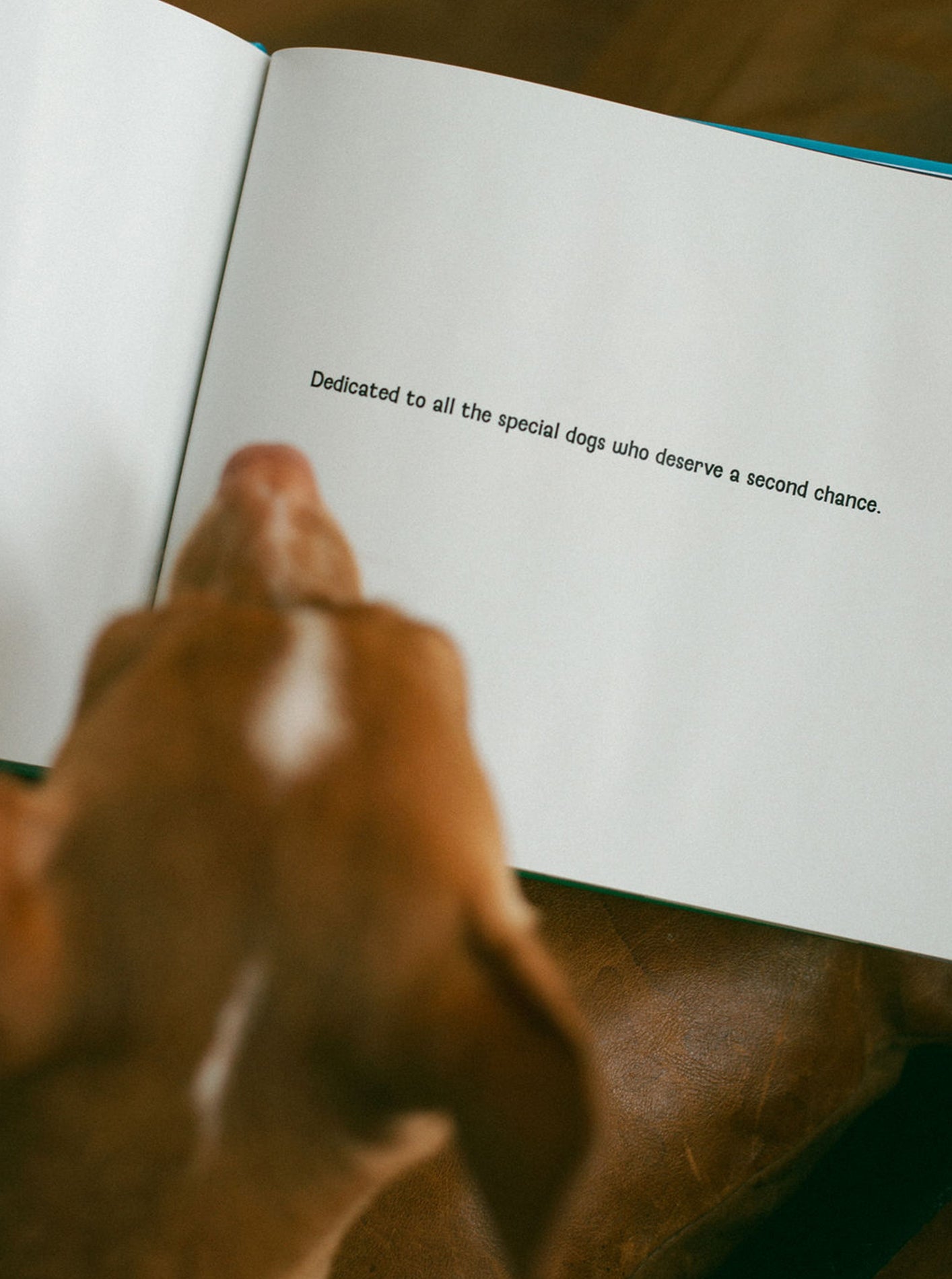 JOEY'S TWO-LEGGED LIFE Children's Book