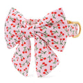 Cherry Jubilee Lady Bow Collar