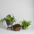 Vintage Grey Planter, Medium