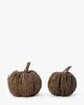 Vine Pumpkin
