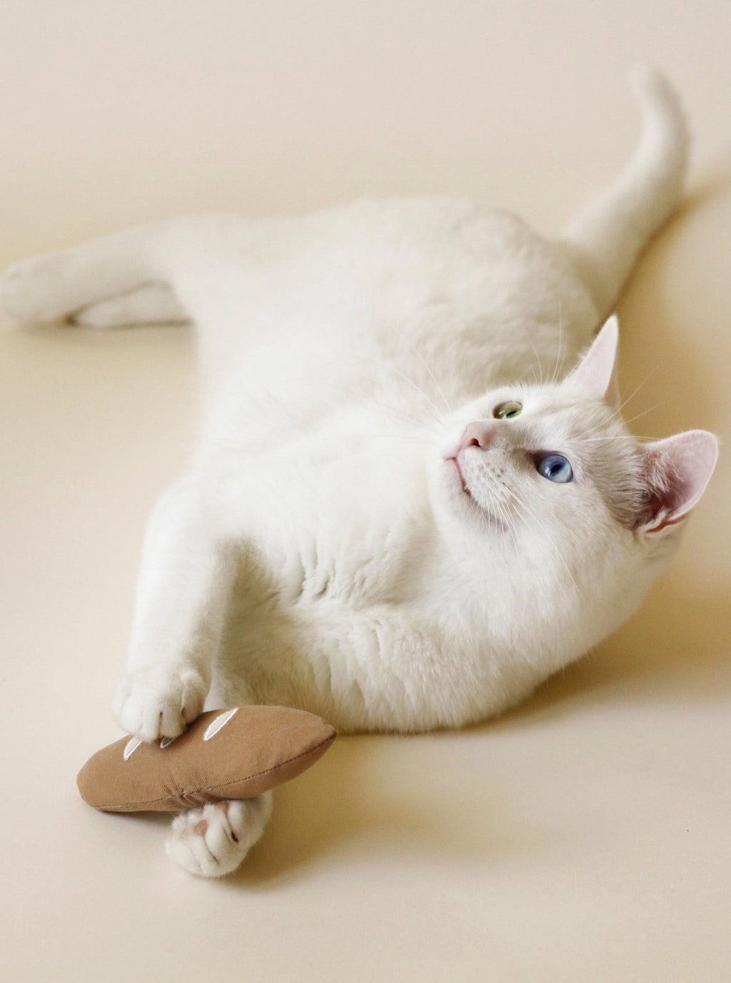 WARM BAGUETTE CAT TOY