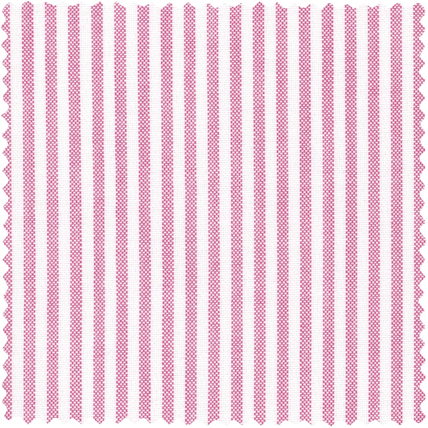 Berry Stripe Spring Oxford