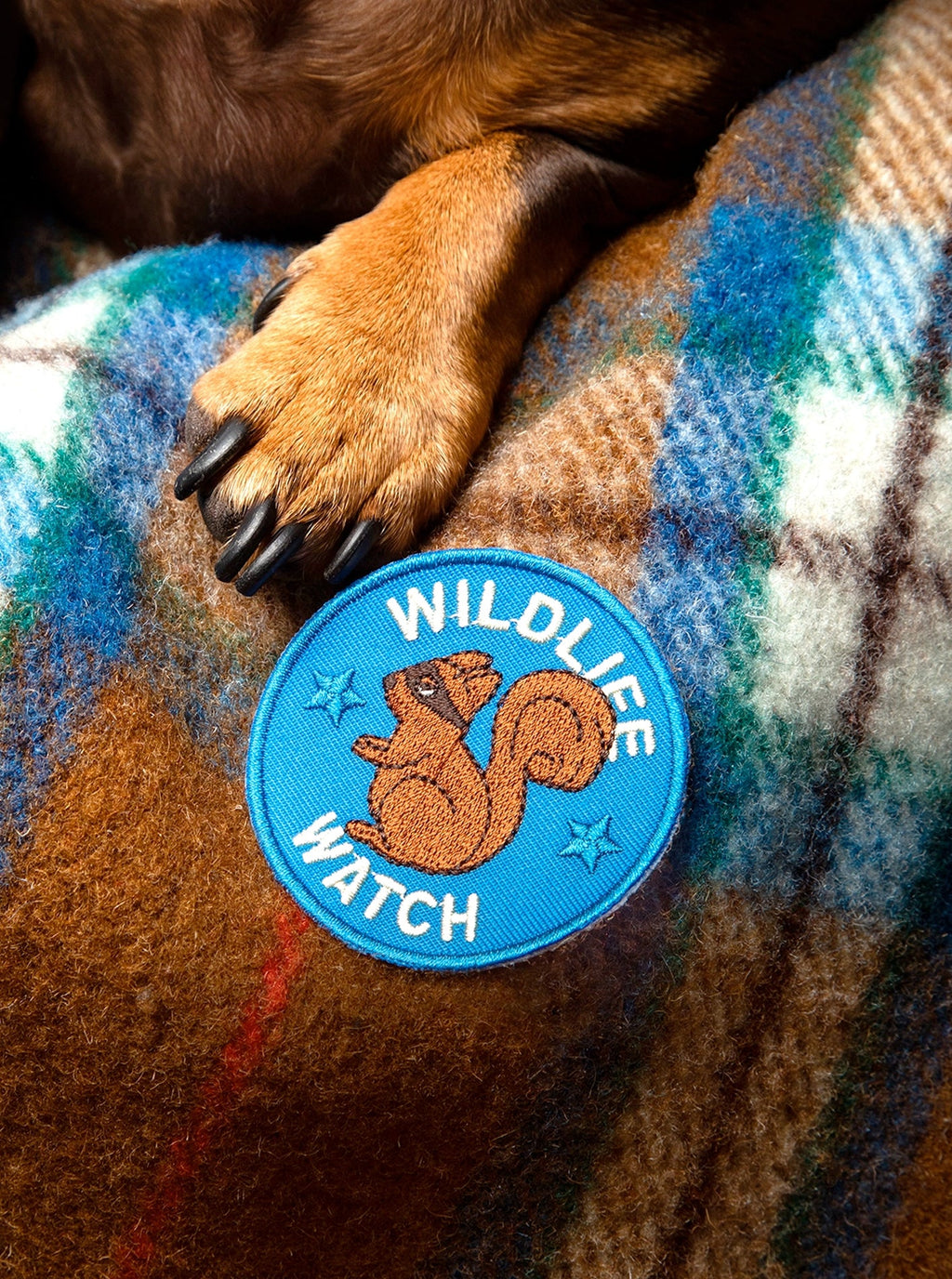 WILDLIFE WATCH PATCH