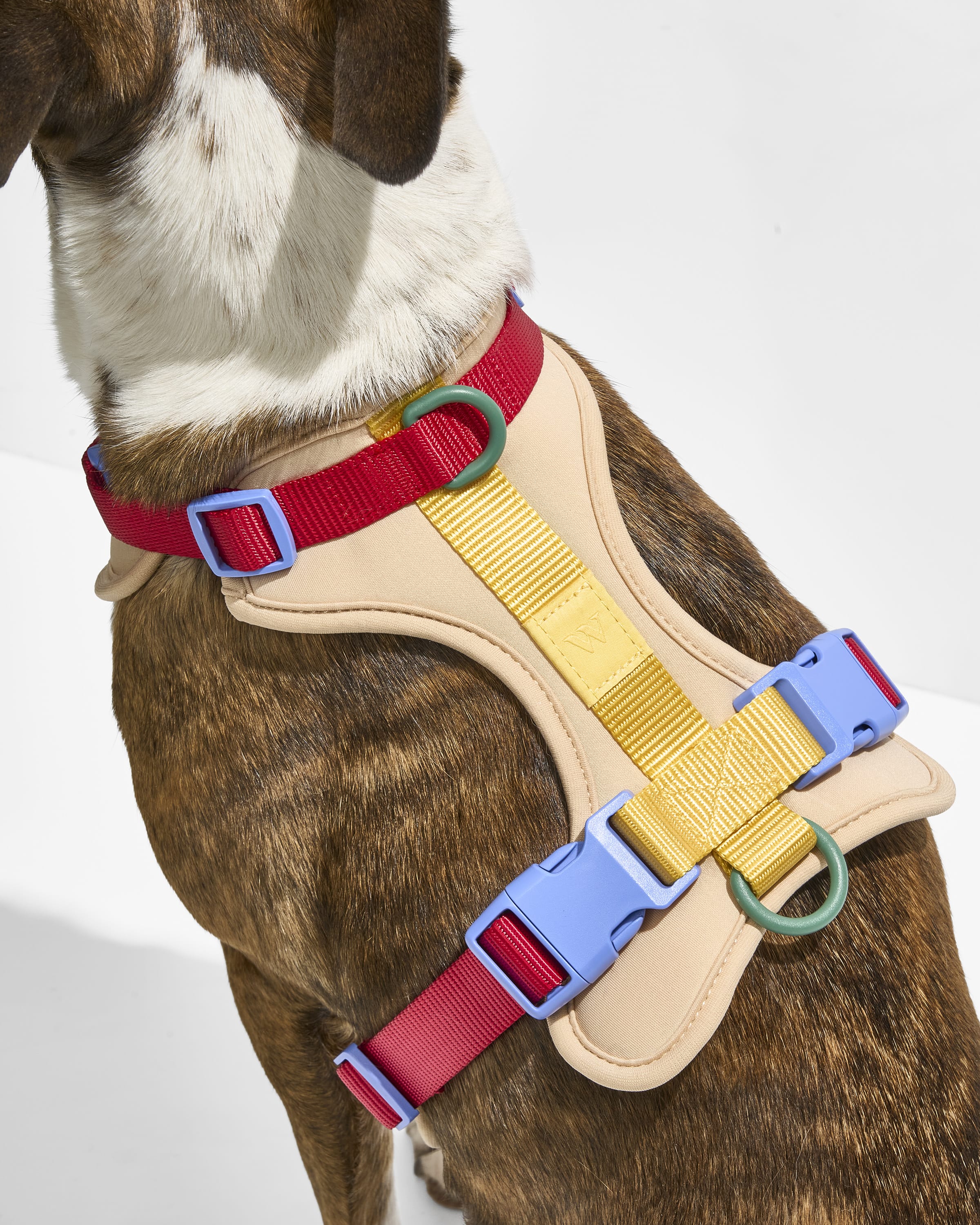Cushioned Harness + Waterproof Leash Walk Kit