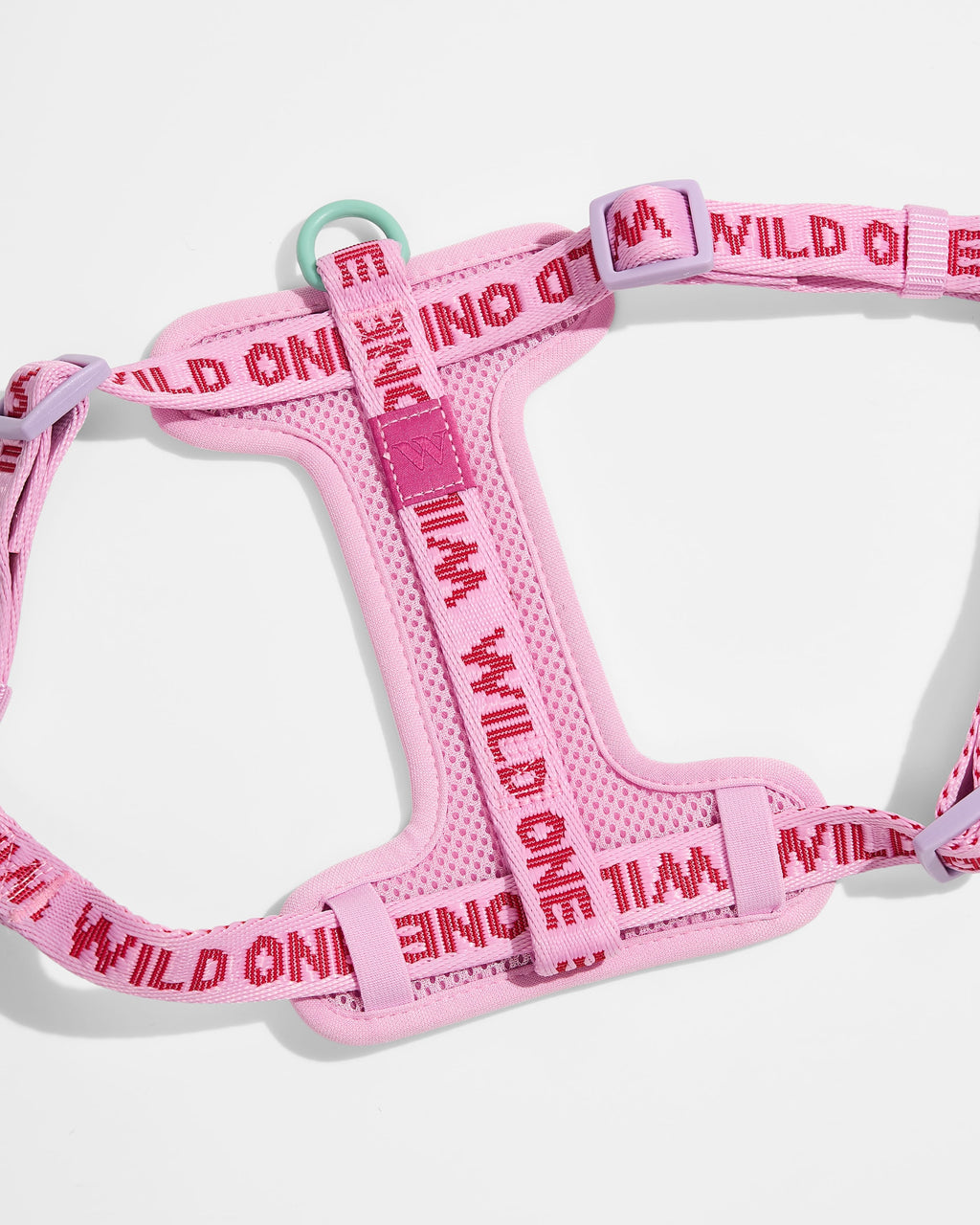 Step-In Harness + Lightweight Leash Walk Kit