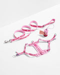 Step-In Harness + Lightweight Leash Walk Kit