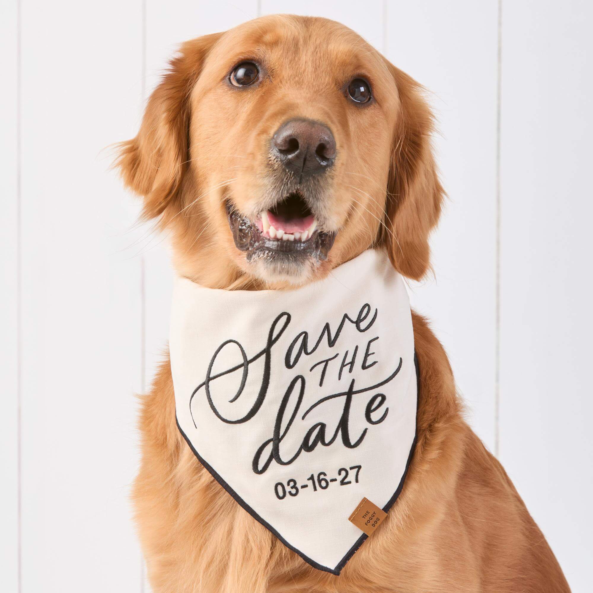 Save the Date Embroidered Dog Bandana