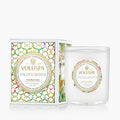 Wildflowers - Classic Candle