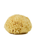 Wool Bath Sea Sponge