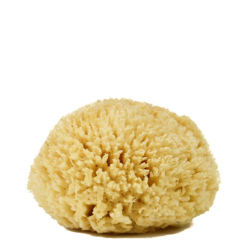 Wool Bath Sea Sponge