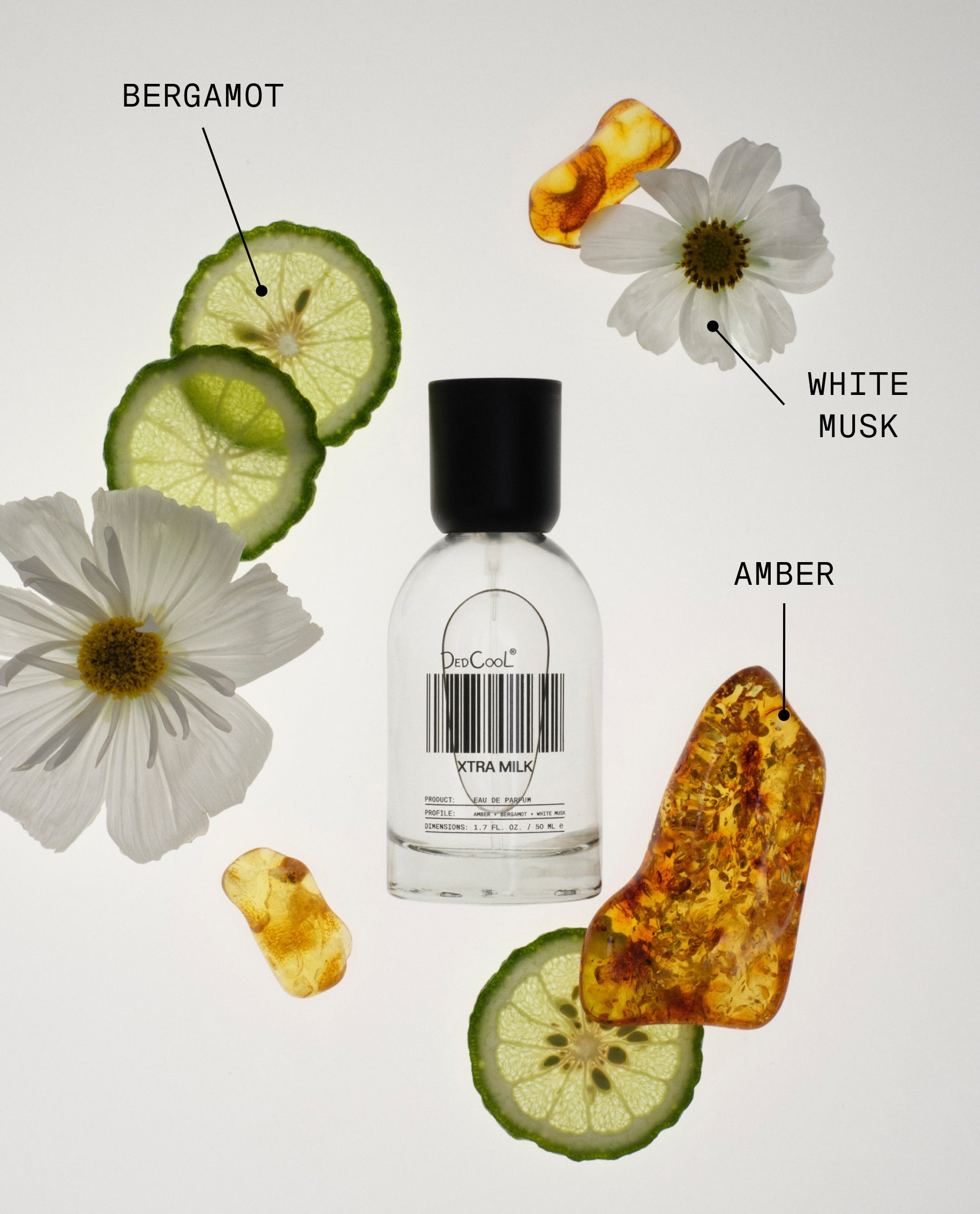 Xtra Milk Fragrance
