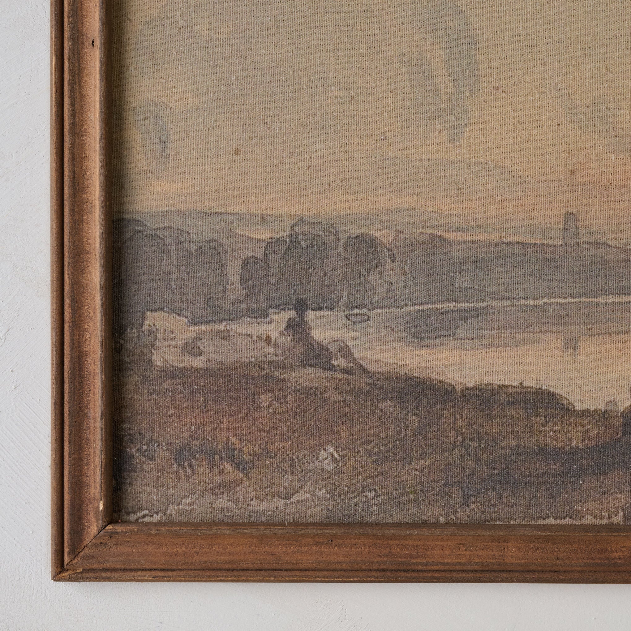 Still Reflection Framed Print