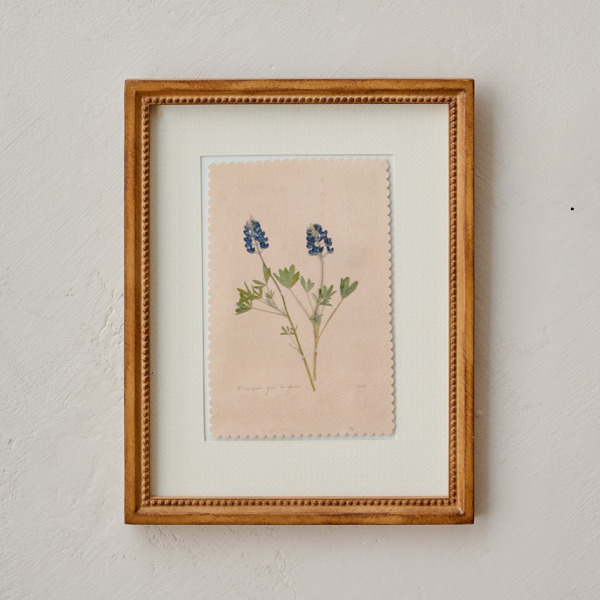 "Bluebonnets from the Farm" Jo's Framed Herbarium Print