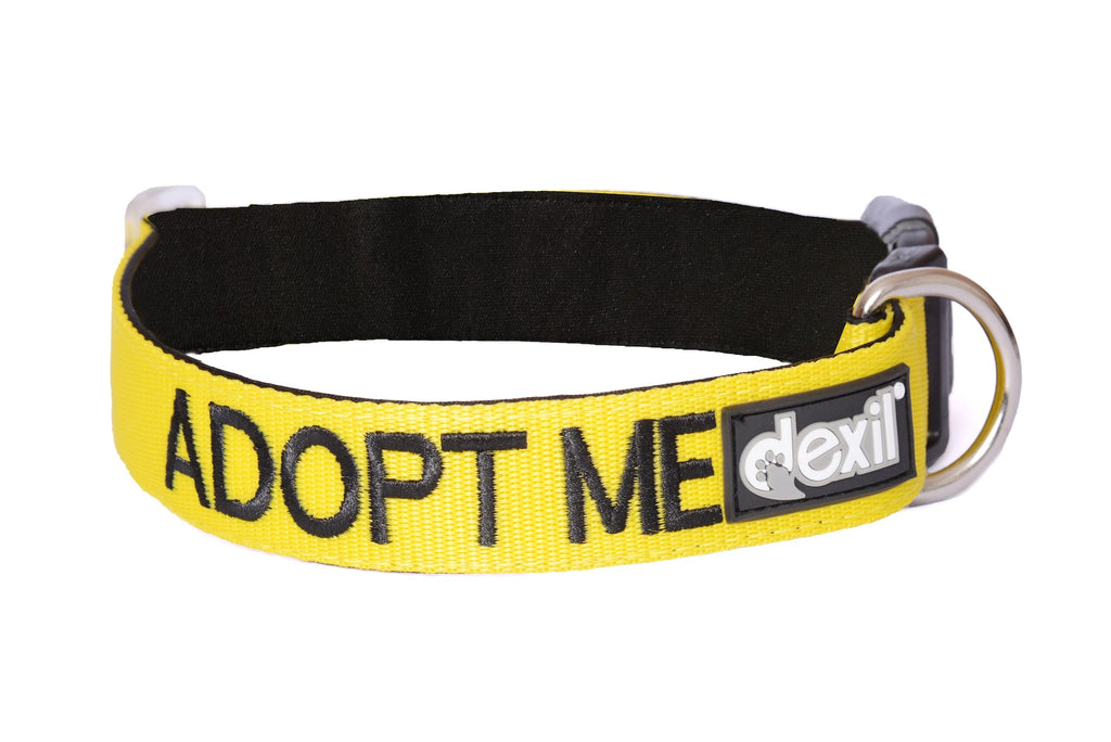 Adopt Me Collar