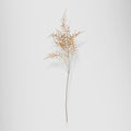 Faux Asparagus Fern, Desert