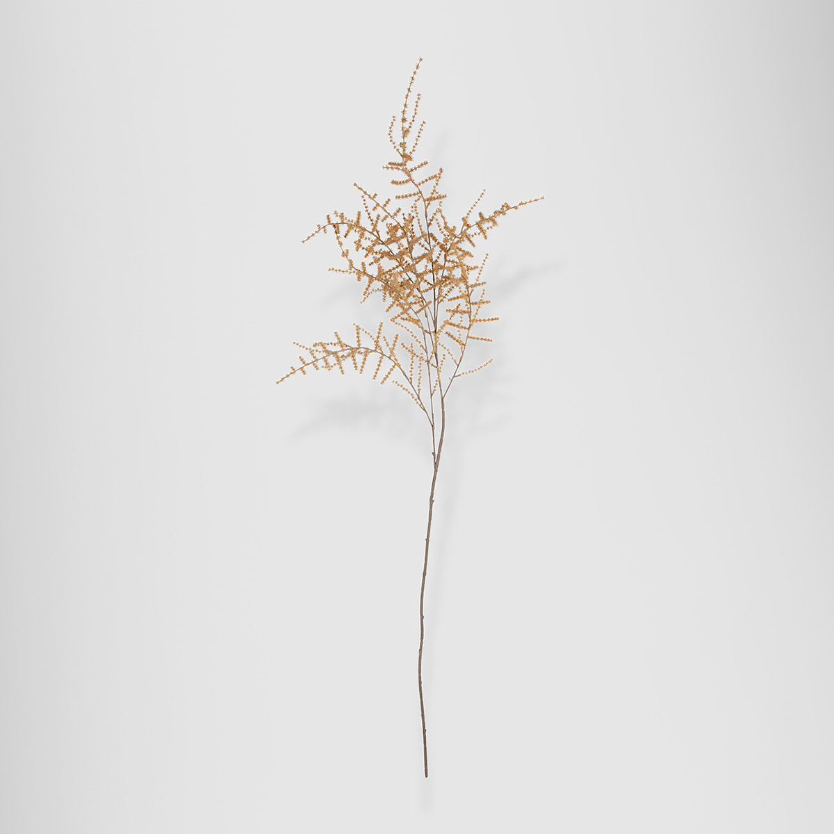 Faux Asparagus Fern, Desert