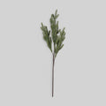 Faux Foxtail Pine