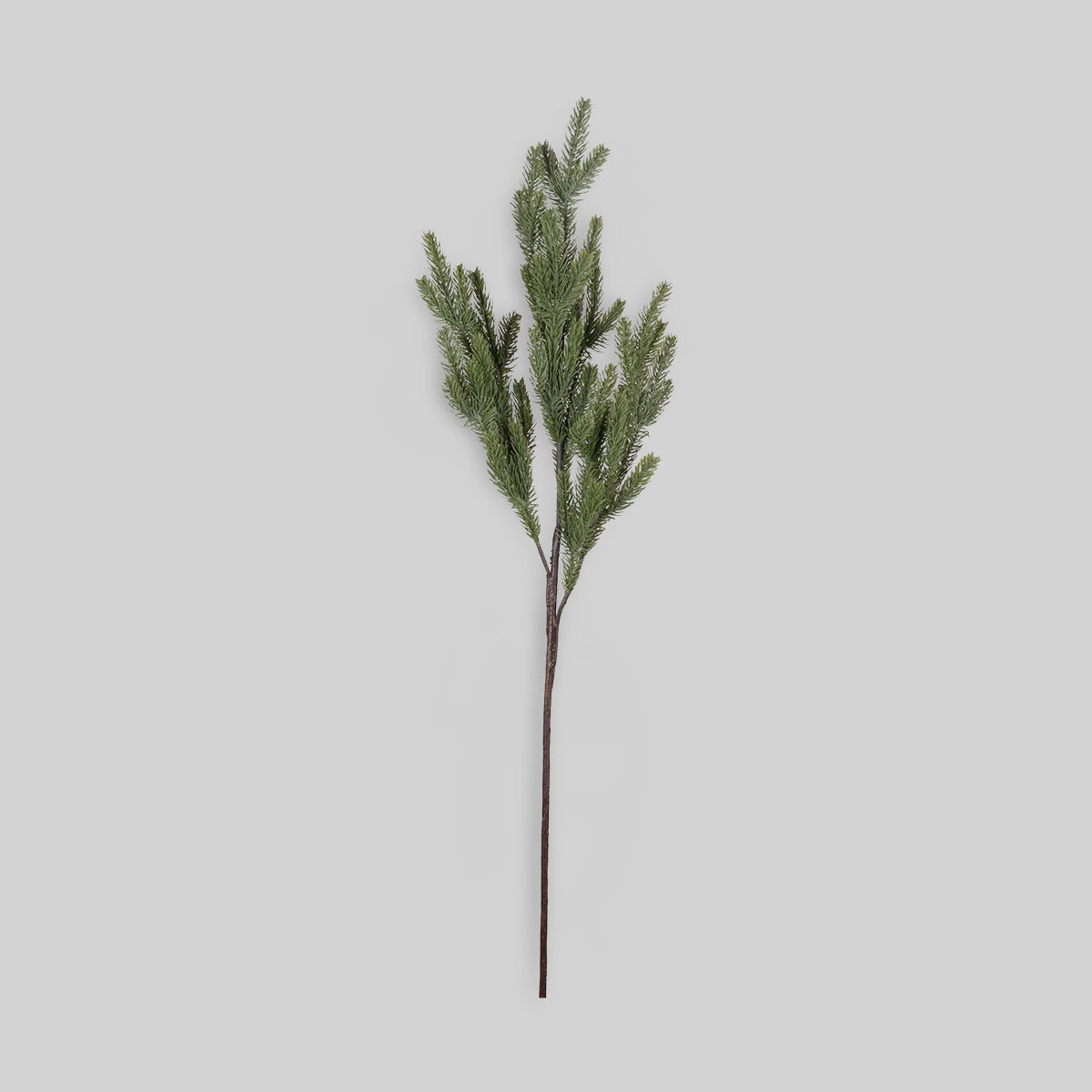 Faux Foxtail Pine