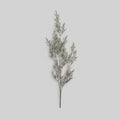 Faux Pine Branch, Frost