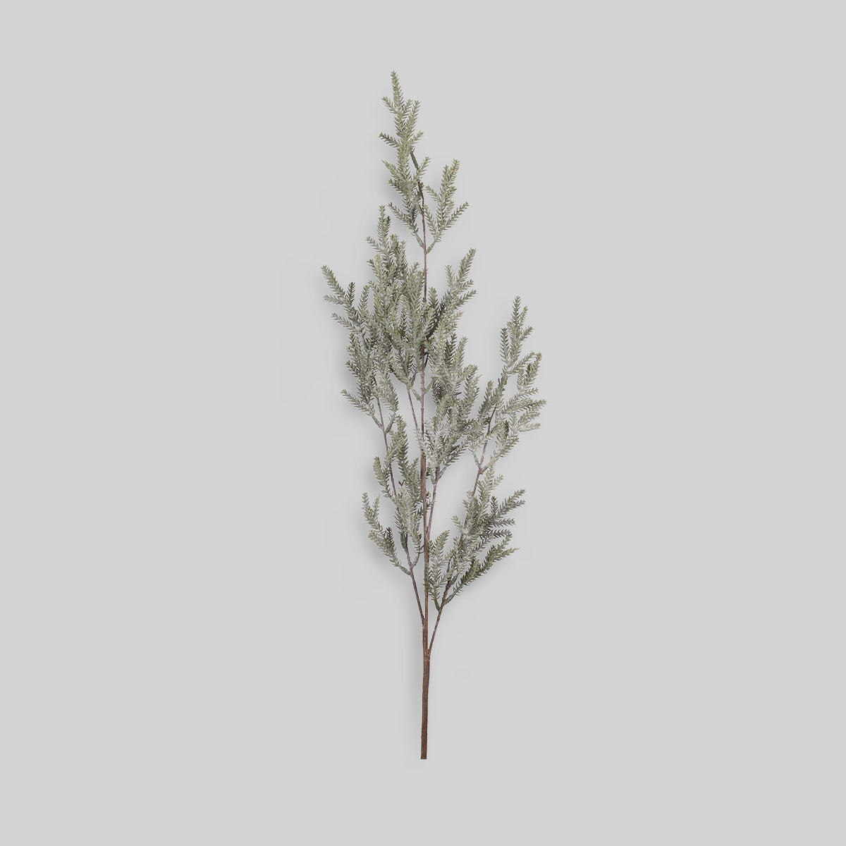Faux Pine Branch, Frost
