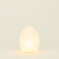 Asano Paper Moon - Egg