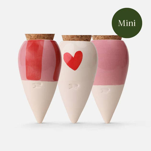 Box Trio Mini Ollas - the Lovers