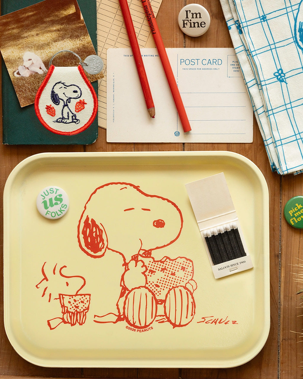 Snoopy & Woodstock Watermelon Tray