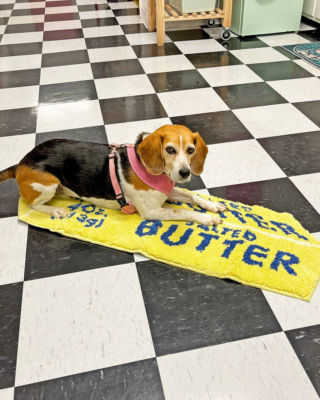 Butter Rug