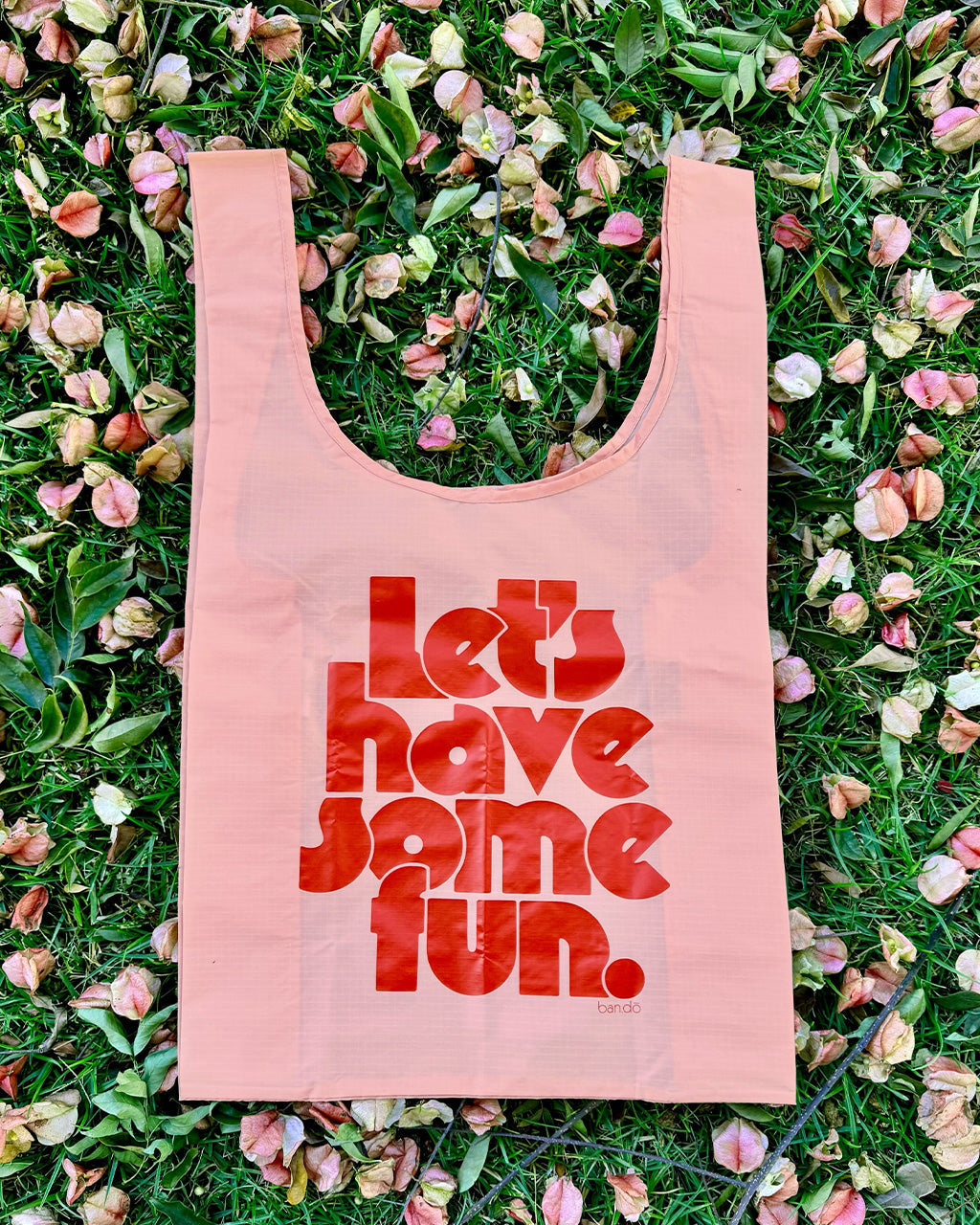 Standard Baggu - Let's Have Some Fun