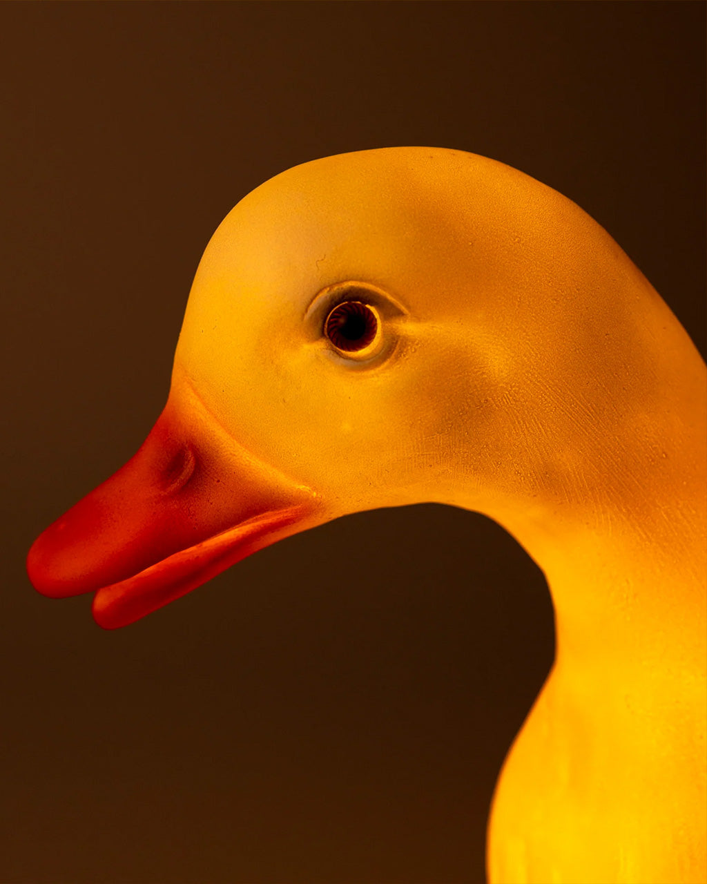 Duck Lamp