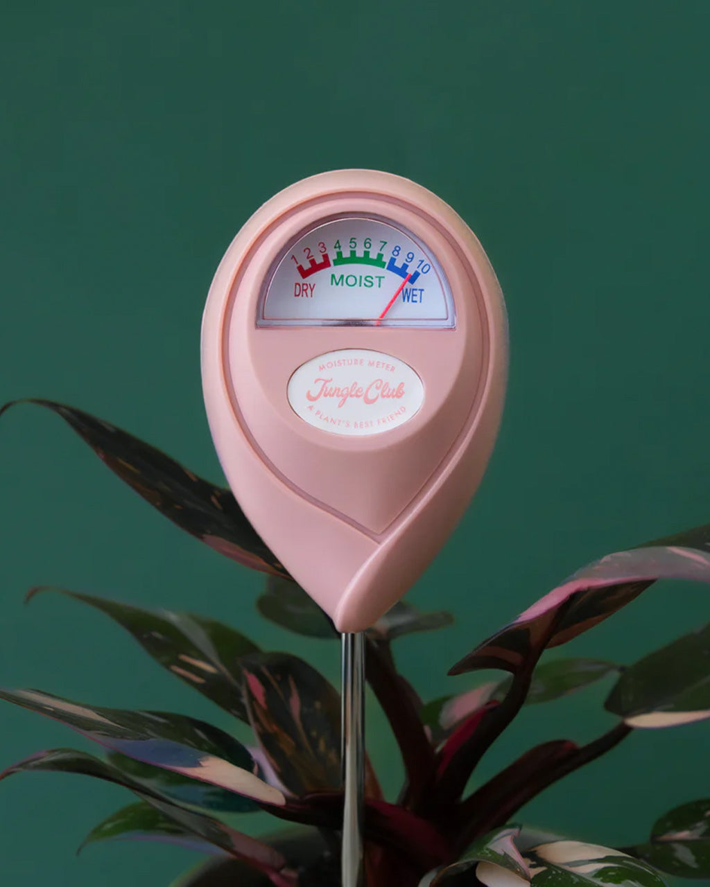 Moisture Meter - Pink