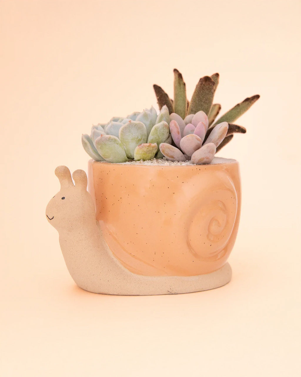 Snail Planter - Sunset