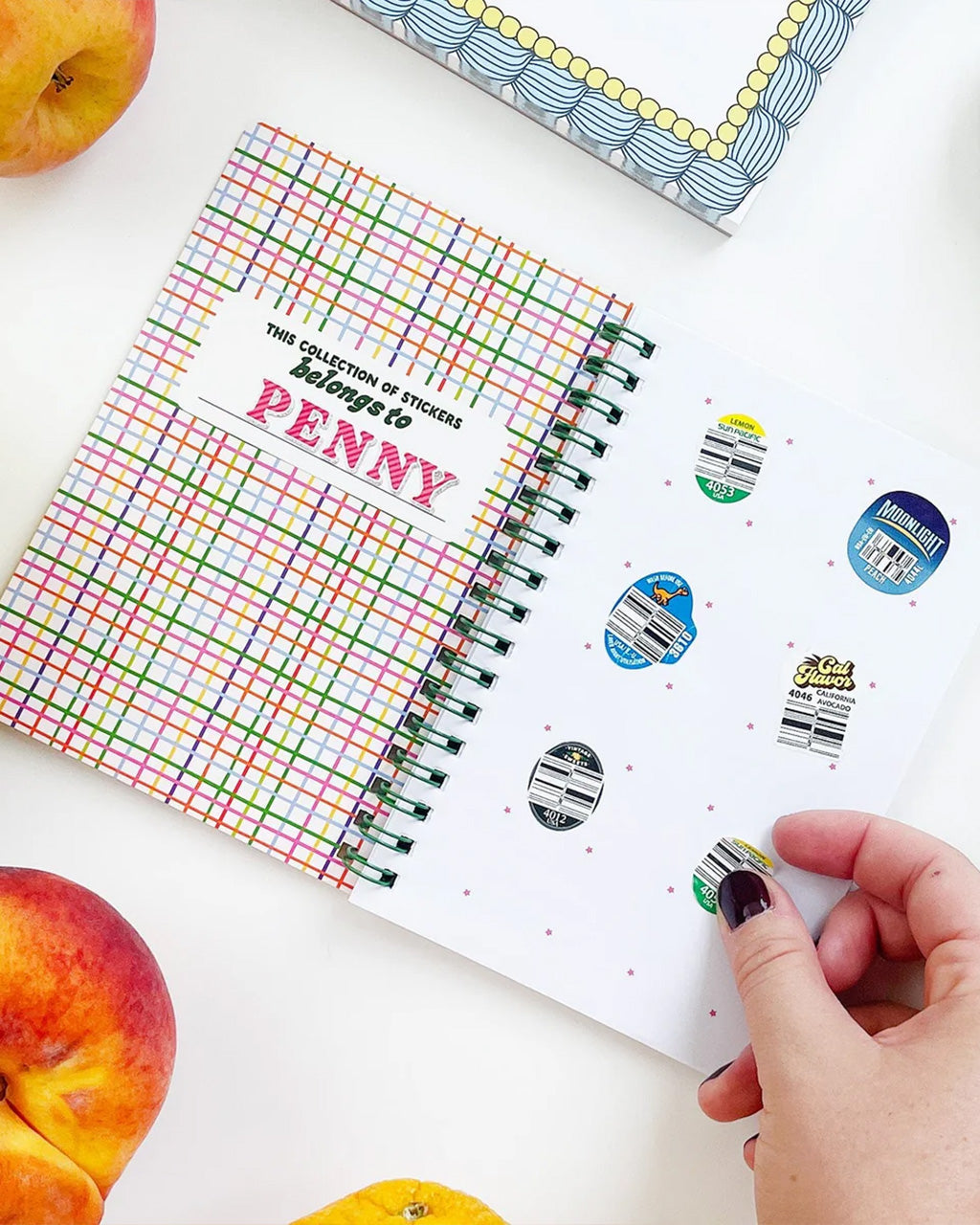 Fruit Sticker Journal Book