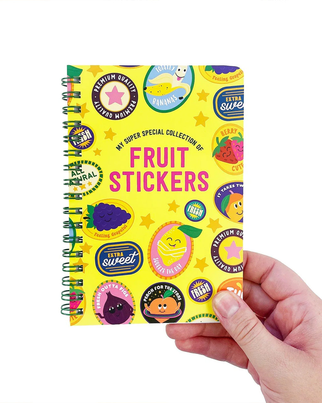 Fruit Sticker Journal Book