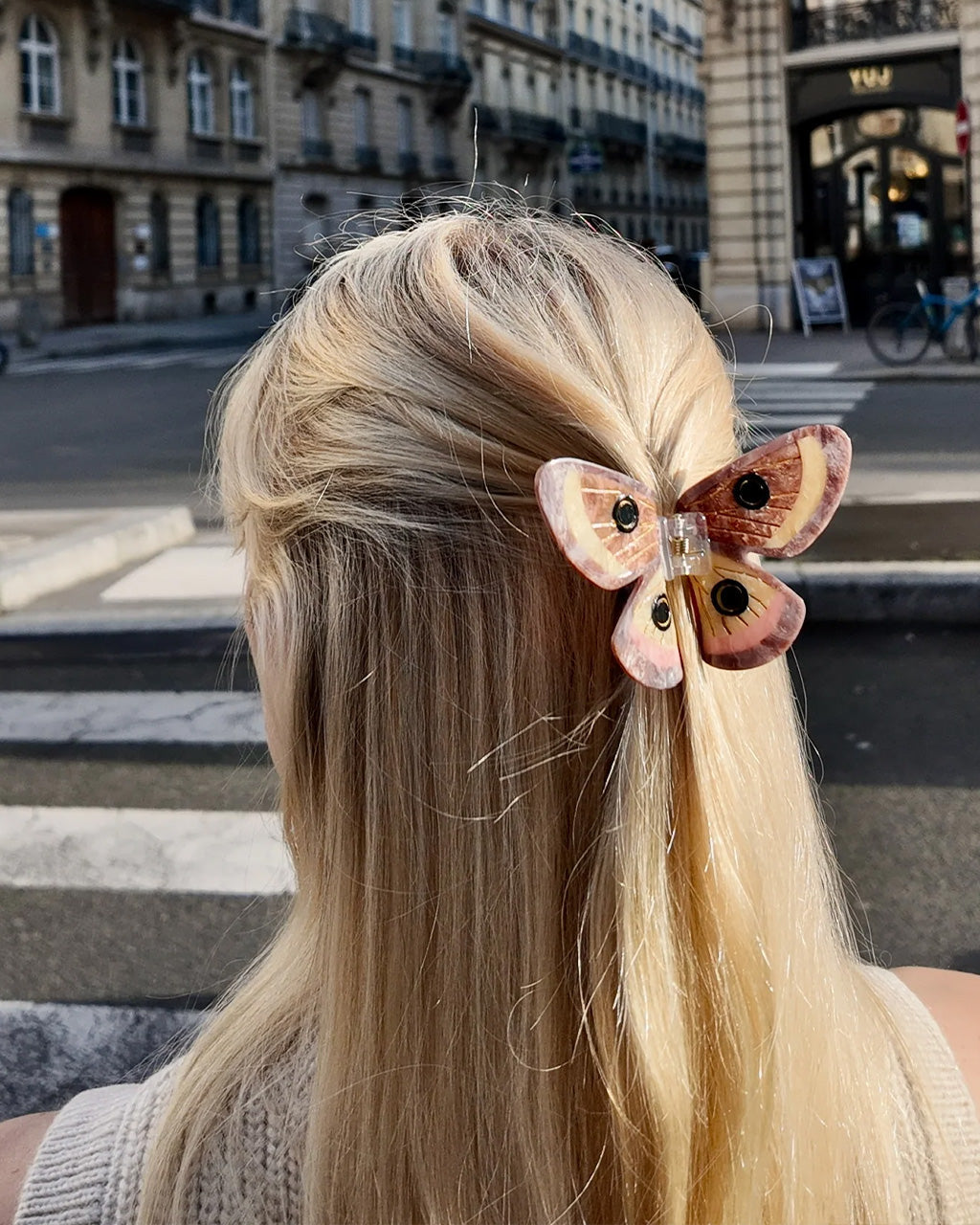 Hand-painted Emperor Silk Moth Claw Hair Clip