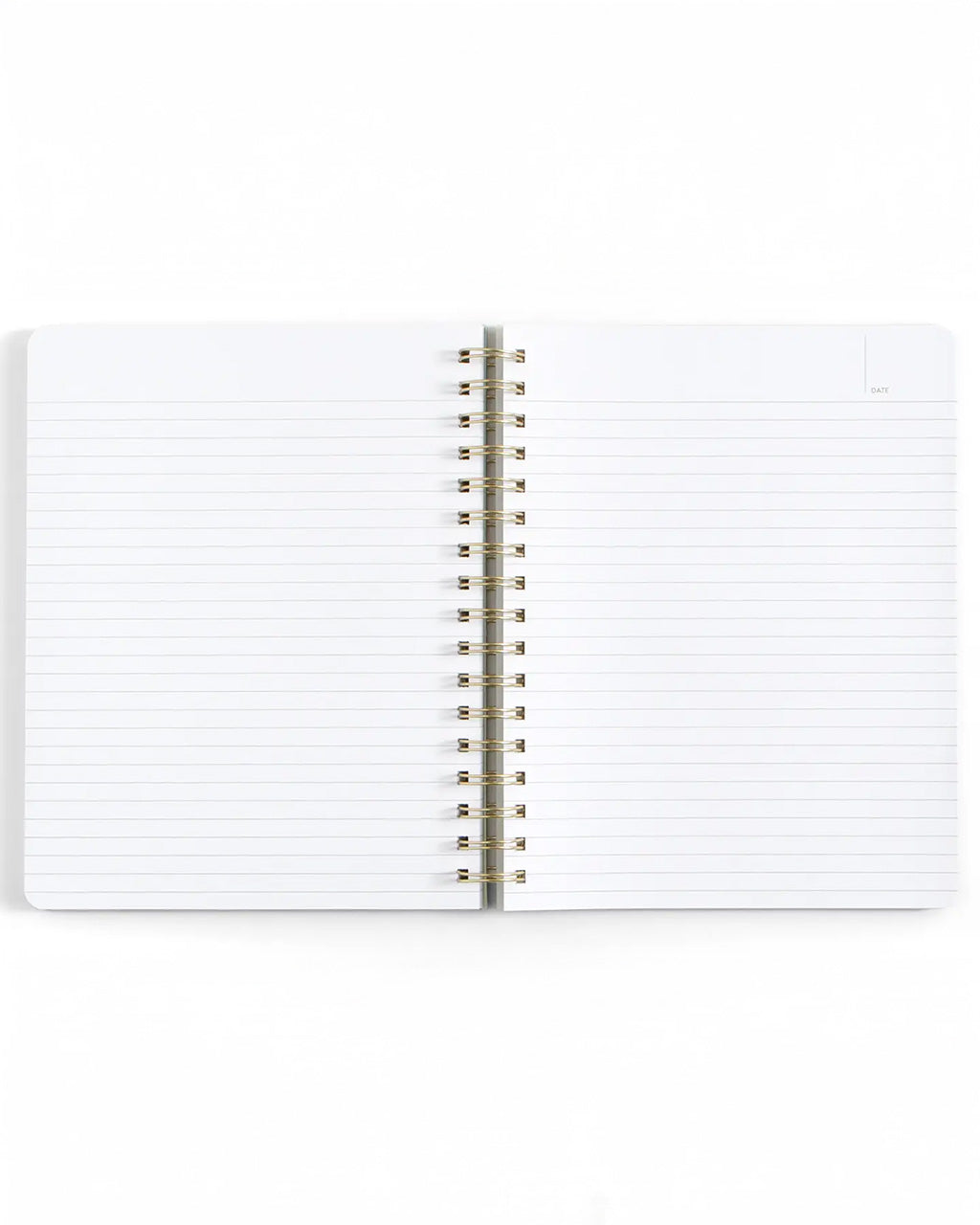 Professional Overachiever Spiral Notebook