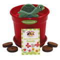 Growing Pot of Fun - Jacks Beanstalk