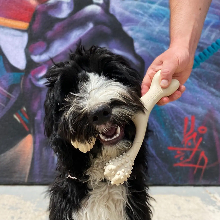 DOG CHEW BONE by BetterBone