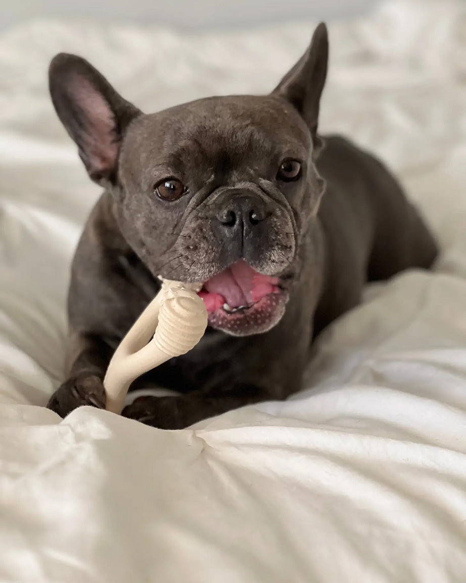 DOG CHEW BONE by BetterBone