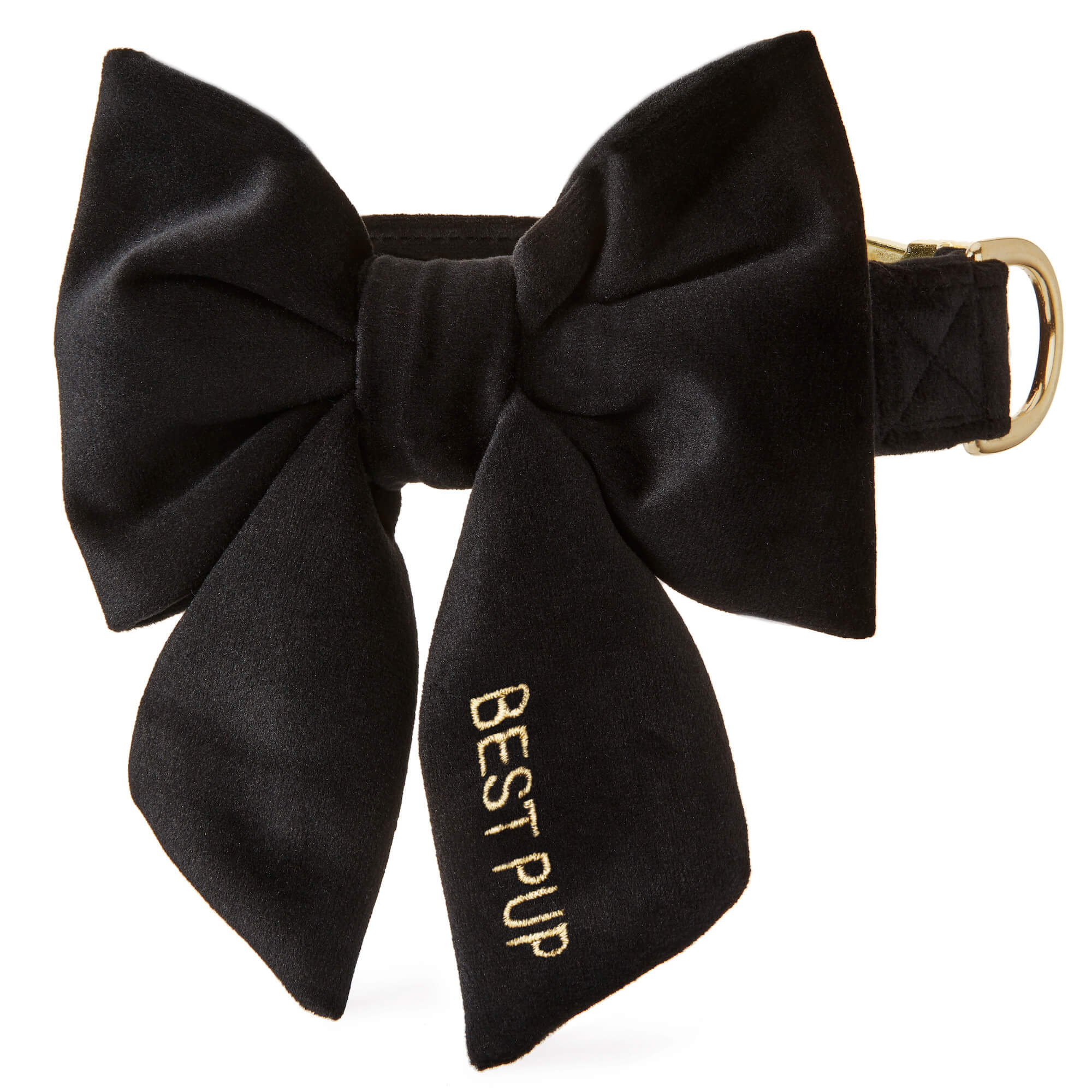 Black Velvet Lady Bow Collar