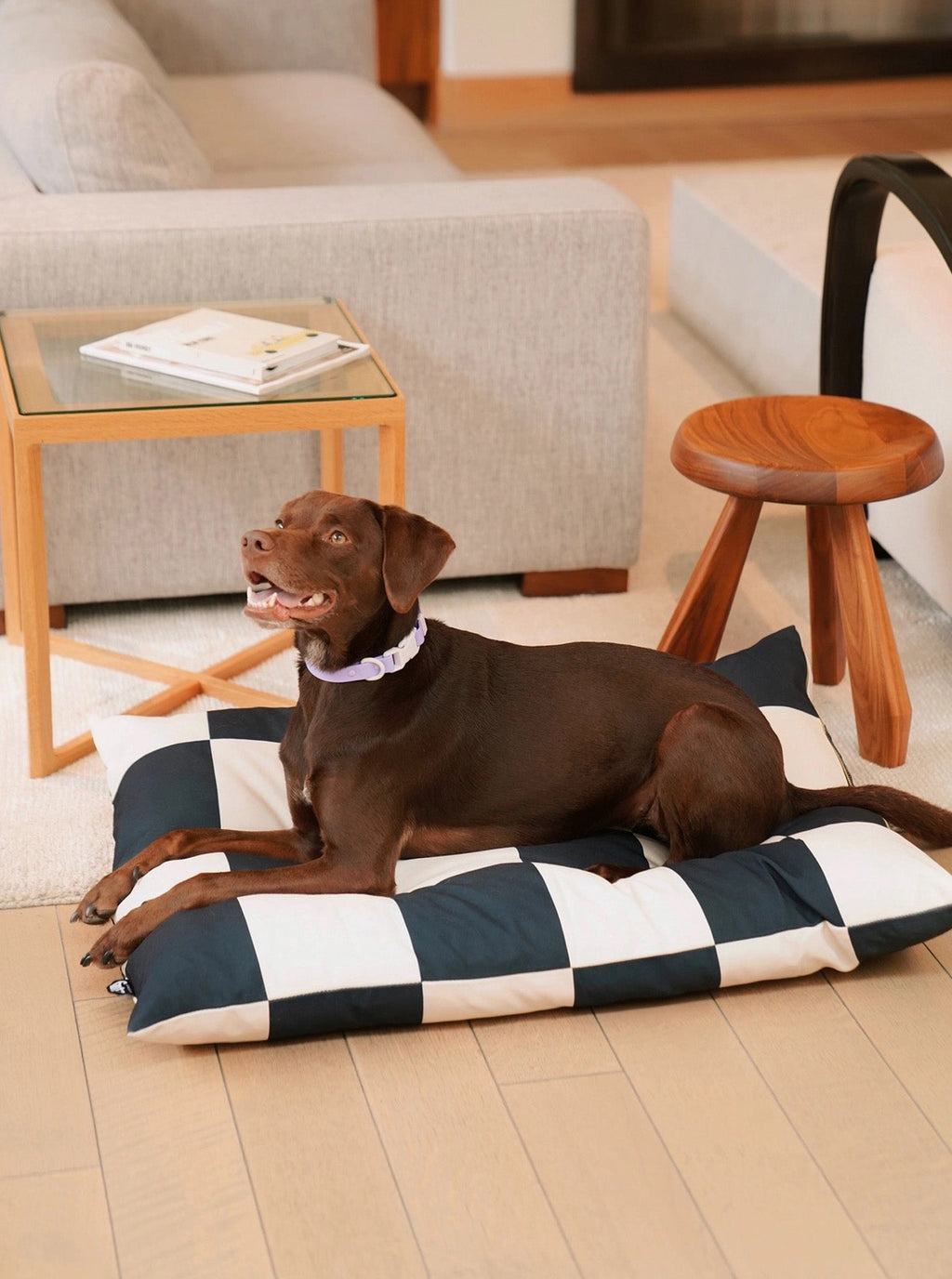 THE FRITZ DOG BED